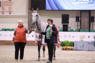 "Конная Россия-2023". IV Чемпионат России среди лошадей орловской рысистой породы.