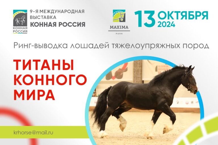 ВСЕ НОВОСТИ