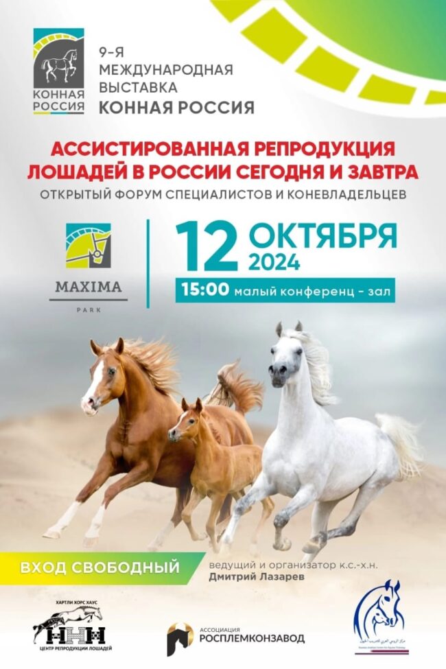 Ассистированная репродукция лошадей