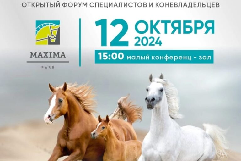 ВСЕ НОВОСТИ