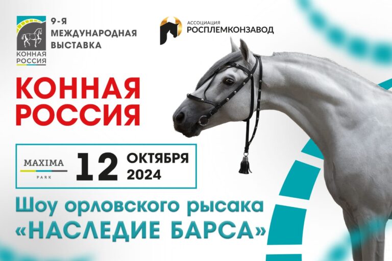 ВСЕ НОВОСТИ