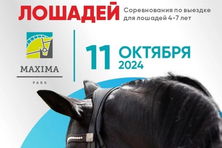 ВСЕ НОВОСТИ
