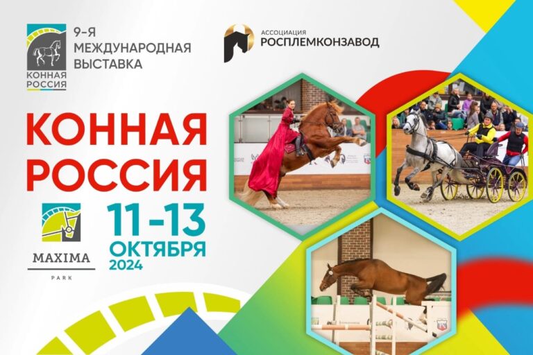 ВСЕ НОВОСТИ