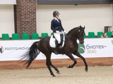 СЕНАТОР СТАР
