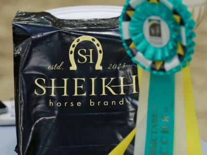 Бутик эстетики конного мира SHEIKH HORSE BRAND выступил одним из спонсоров награждения победителей и призеров в дисциплине "Традиционный арабский костюм"