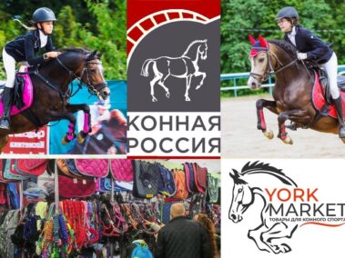 Самый яркий бренд YorkMarket поддержал соревнования для лошадей чистокровной арабской породы «Классик Плежер»