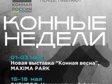 Показательные соревнования по традиционной рабочей выездке «MAXIMAльный турнир»