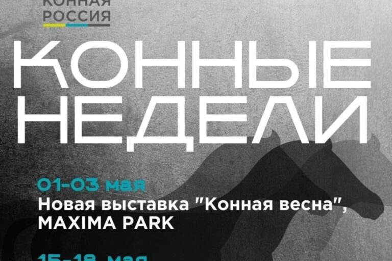 ВСЕ НОВОСТИ