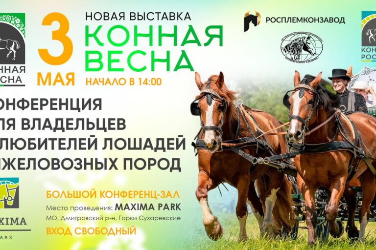 ВСЕ НОВОСТИ