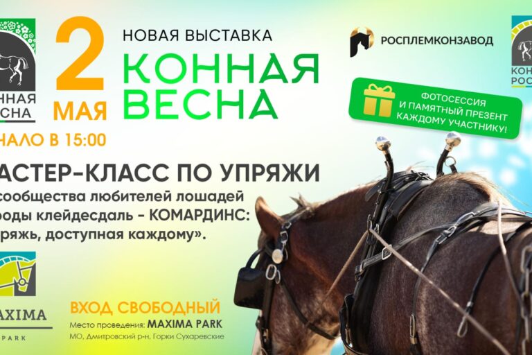 ВСЕ НОВОСТИ