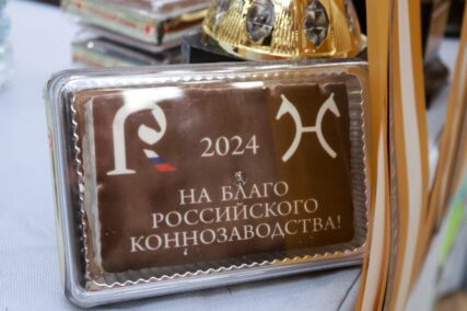 В рамках X Международной выставки "Конная Россия" при поддержке ассоциации "Росплемконзавод" 26-27 сентября в MAXIMA PARK пройдут Дни спортивного коннозаводства!