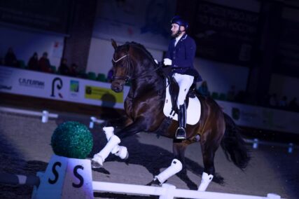 Шоу выездковых жеребцов «DRESSAGE ME» пройдет в рамках X юбилейной «Конной России"!