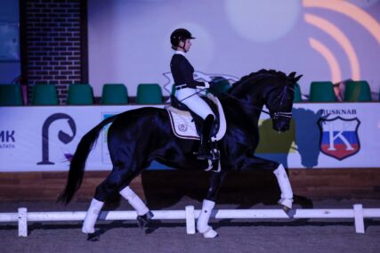 Шоу выездковых жеребцов «DRESSAGE ME» пройдет в рамках X юбилейной «Конной России"!