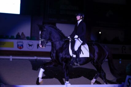 Шоу выездковых жеребцов «DRESSAGE ME» пройдет в рамках X юбилейной «Конной России"!
