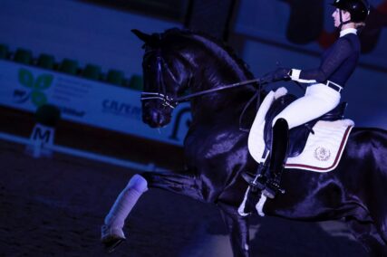 Шоу выездковых жеребцов «DRESSAGE ME» пройдет в рамках X юбилейной «Конной России"!