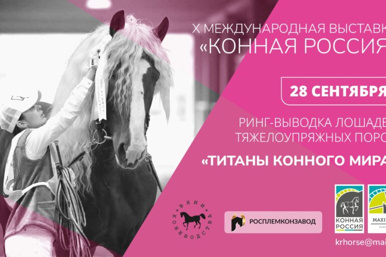 ВСЕ НОВОСТИ