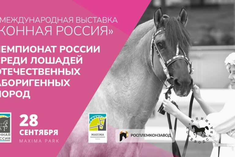 ВСЕ НОВОСТИ