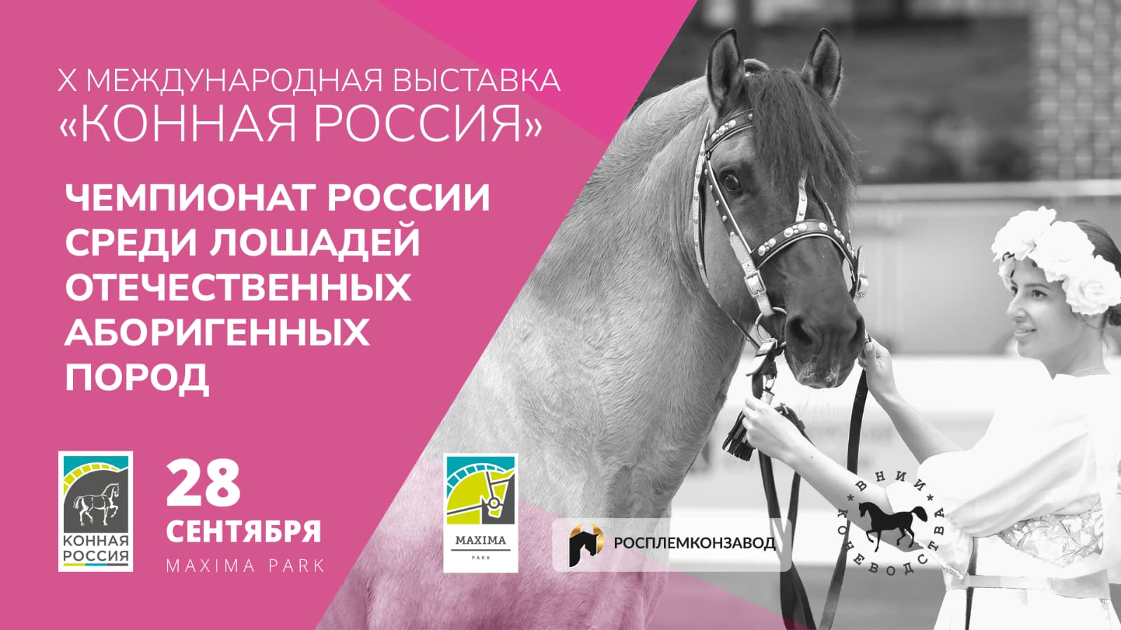 На X Международной выставке "Конная Россия" 28 сентября состоятся ЧЕМПИОНАТ РОССИИ СРЕДИ ЛОШАДЕЙ ОТЕЧЕСТВЕННЫХ АБОРИГЕННЫХ ПОРОД и ХІІ ОТКРЫТЫЙ ЧЕМПИОНАТ ЛОШАДЕЙ ВЯТСКОЙ ПОРОДЫ ЦЕНТРАЛЬНОГО РЕГИОНА РОССИИ «ВЯТКА МОСКОВИИ 2025».