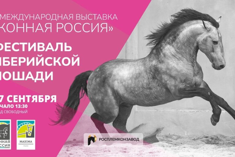 ВСЕ НОВОСТИ