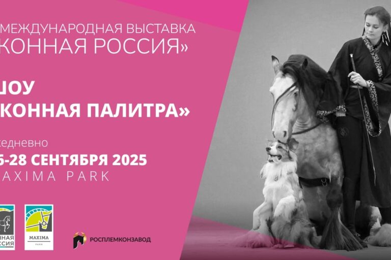 ВСЕ НОВОСТИ