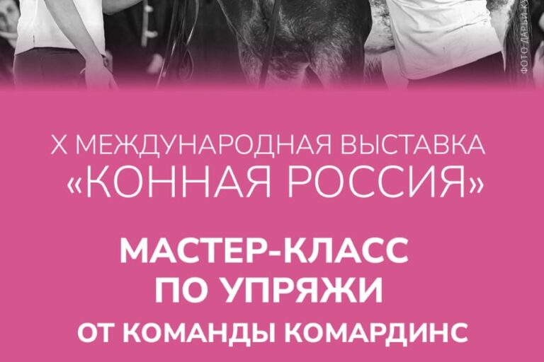 ВСЕ НОВОСТИ