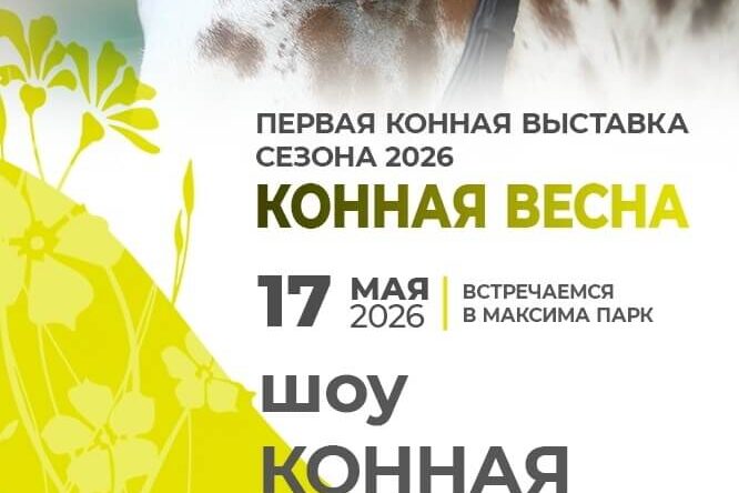 ВСЕ НОВОСТИ
