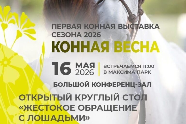 ВСЕ НОВОСТИ