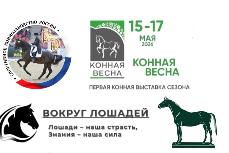 ВСЕ НОВОСТИ