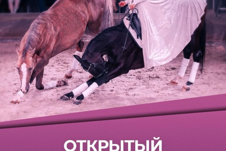 ВСЕ НОВОСТИ