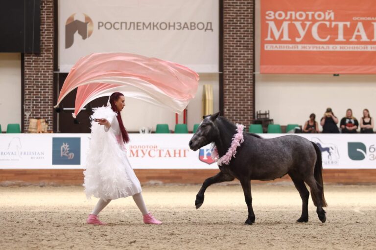 О НАС