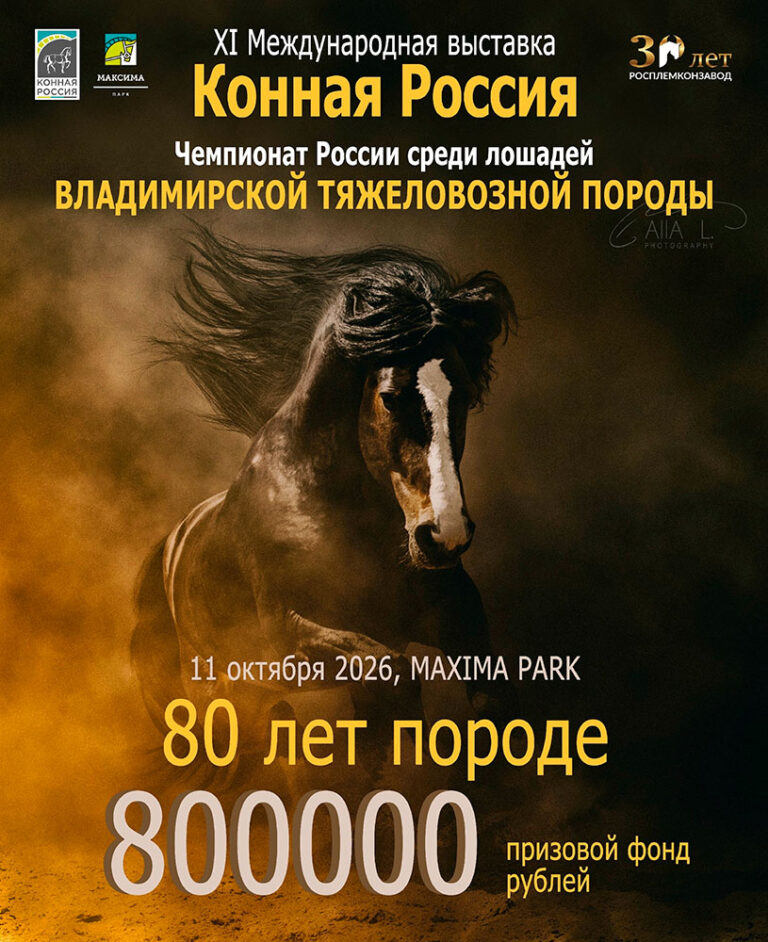 О НАС