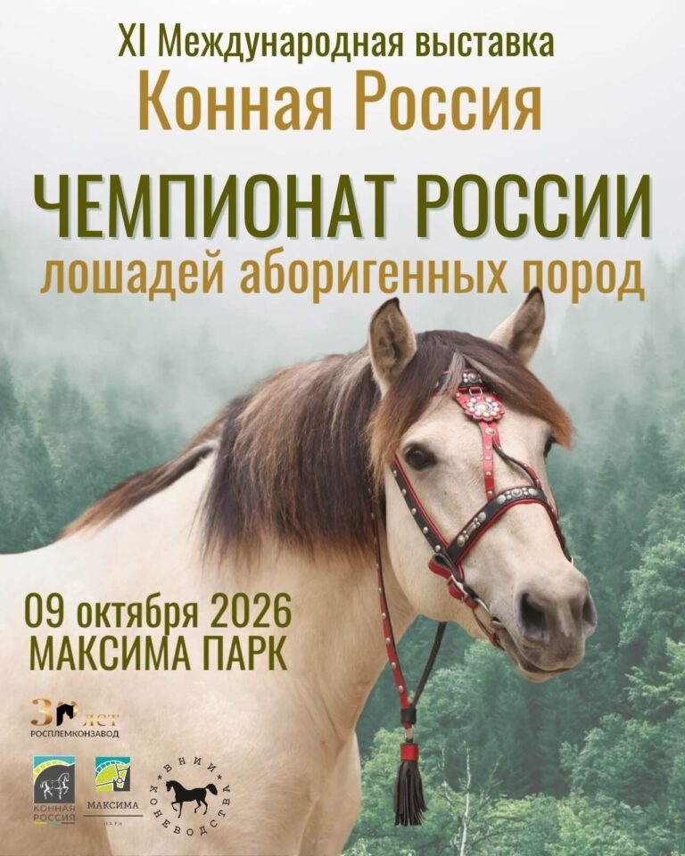 О НАС
