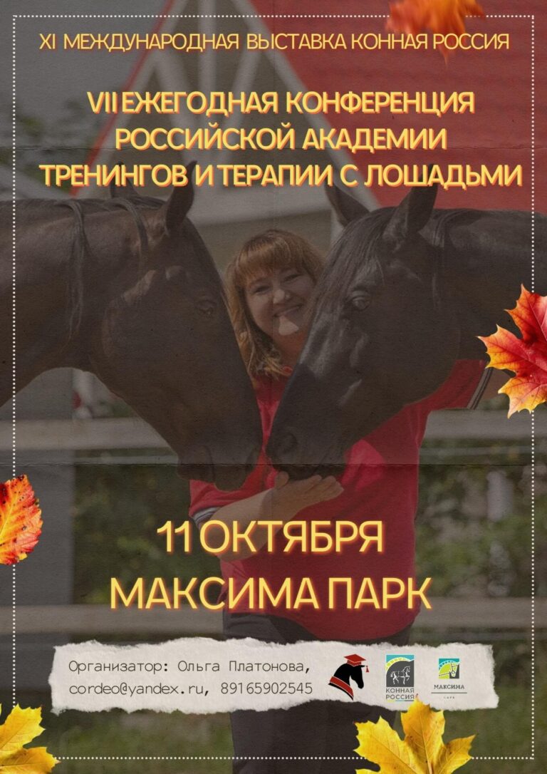 О НАС