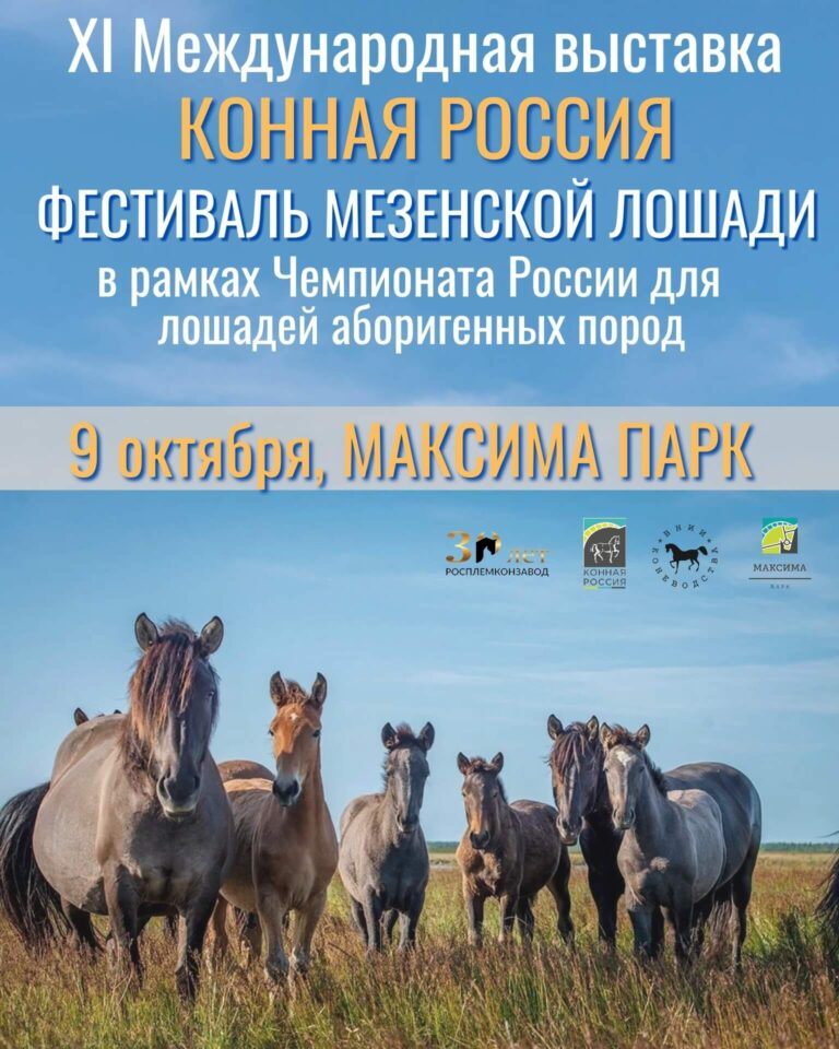 О НАС
