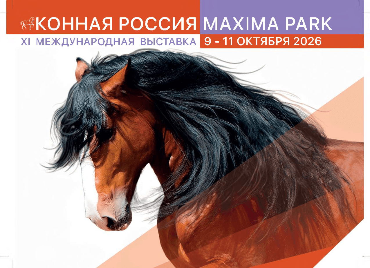 О НАС О НАС